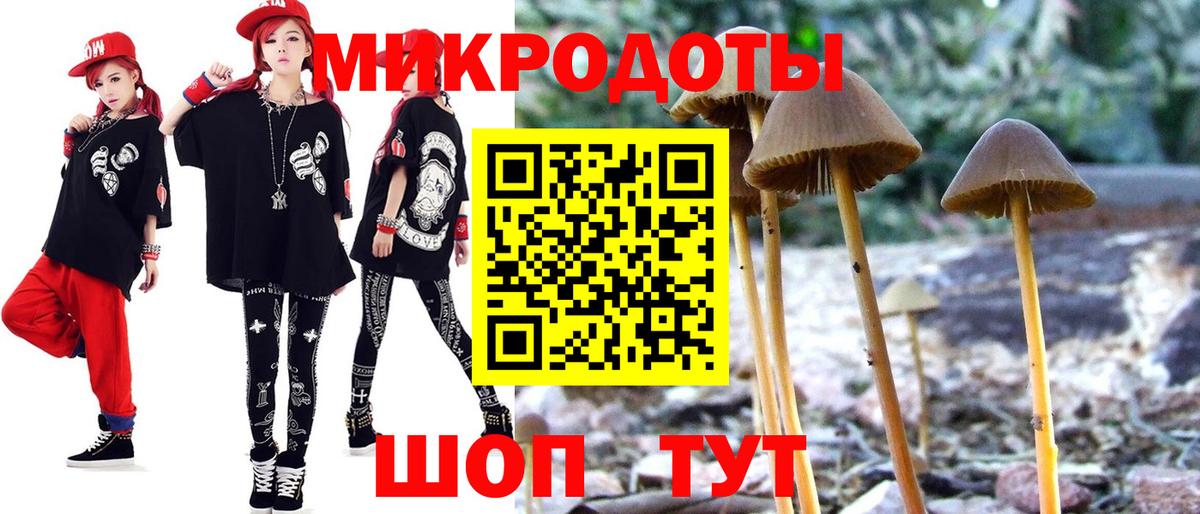 Богданович  Галлюциногенные грибы Psilocybe  дарнет шоп  Вход с VPN 