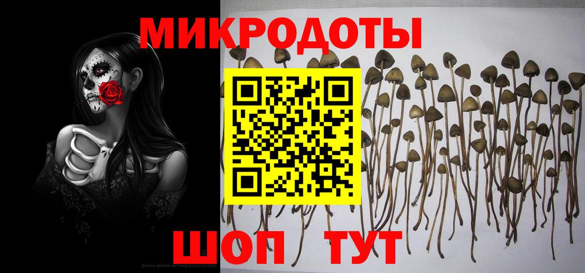 Галлюциногенные грибы Cubensis Богданович