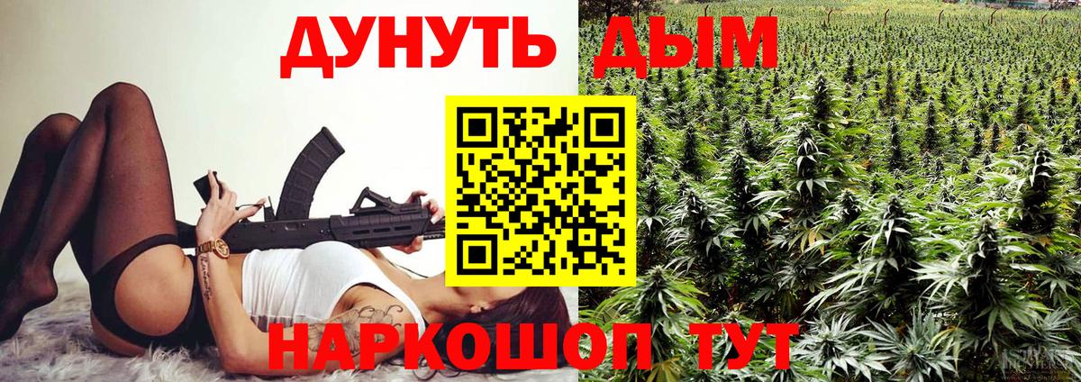 Бошки Шишки VHQ  Каннабис семена  Канабис планчик  Вход с VPN  Богданович 